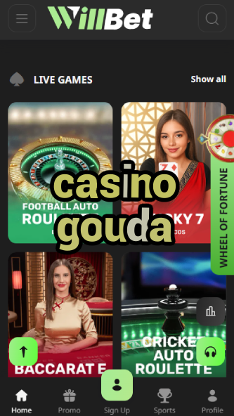 Casino Gouda - Best Dutch Cheese-Themed Casino-www.bdqngd.com
